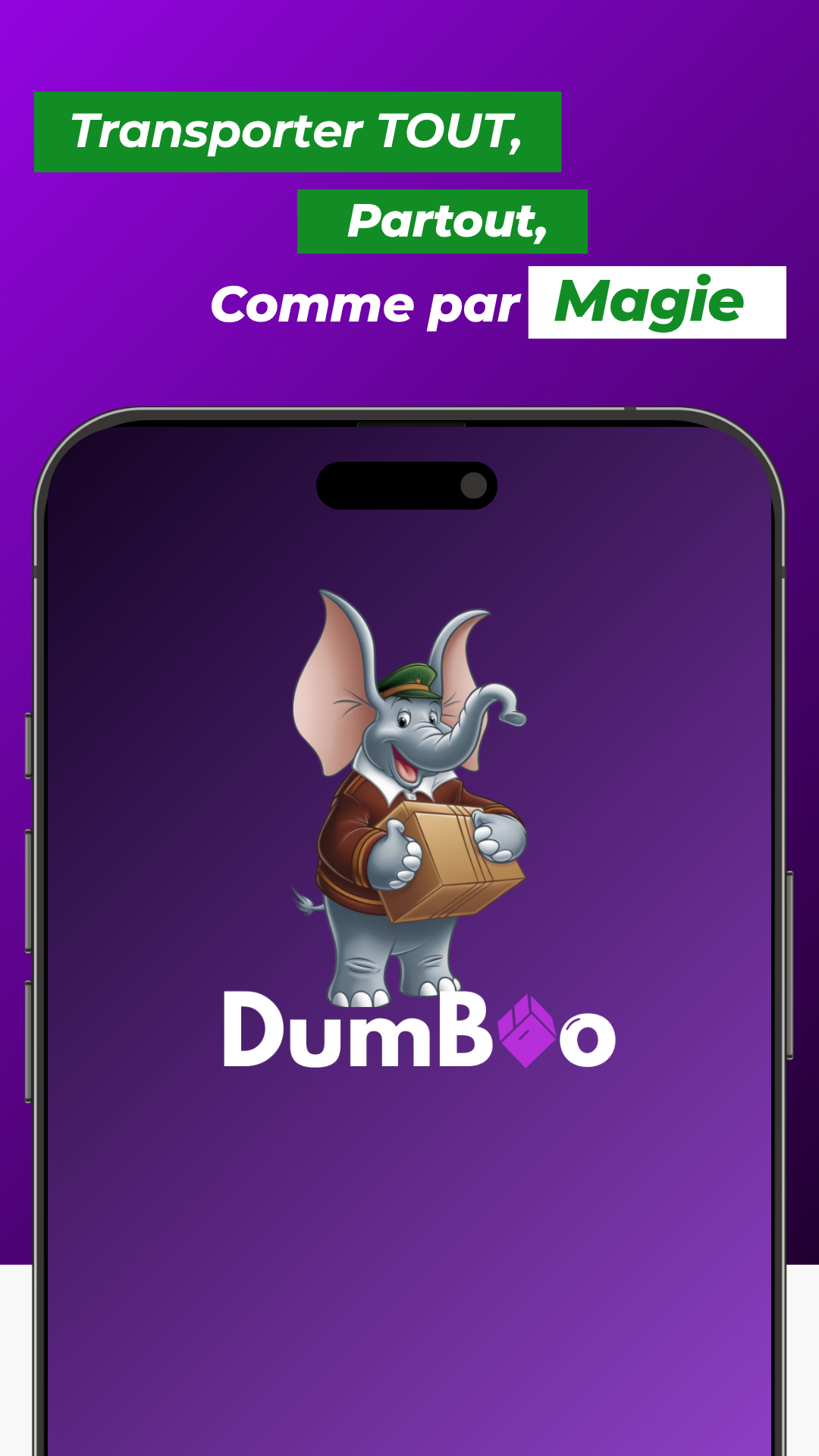 Capture de l'application DumBoo client